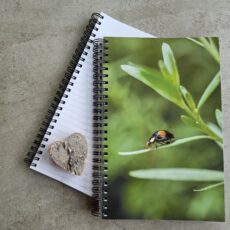 Notitieboek Lieveheersbeestje