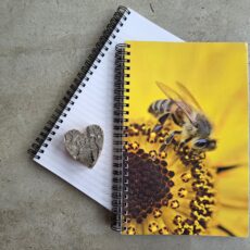 Notitieboek Honingbij op Goudsbloem