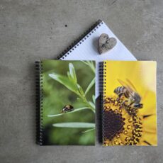 Notitieboeken