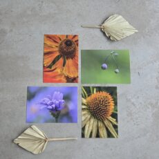 Ansichtkaartenset Bloemen (4 stuks)