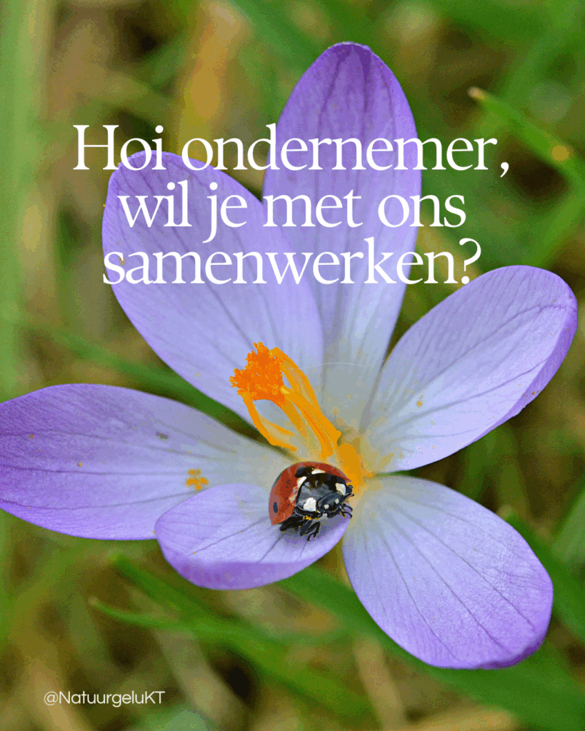 samenwerken met NatuurgeluKT | inkoop natuurfotografieproducten